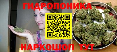 гашиш Сланцы