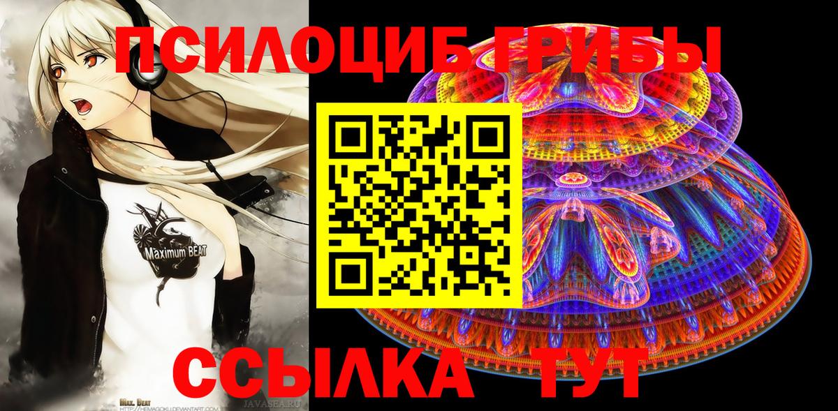 Галлюциногенные грибы Psilocybine cubensis  сколько стоит  Галлюциногенные грибы ЛСД  Богданович  Вход с VPN 