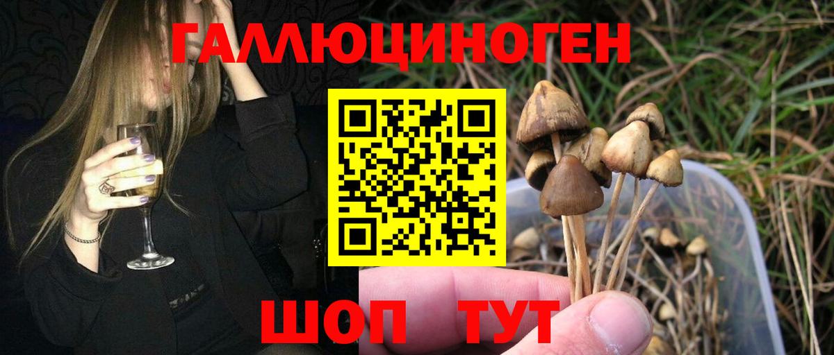 Галлюциногенные грибы прущие грибы Богданович